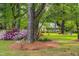 Charming home tucked away by mature trees and azaleas, with classic architecture and curb appeal at 1741 W Blackman Rd, Dunn, NC 28334