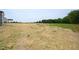 A large, flat backyard with newly laid straw for landscaping at 223 Johnson Ridge Way, Four Oaks, NC 27524
