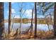 Beautiful lake view framed by trees, offering a peaceful and scenic backdrop at 3401 Belin Ct, Raleigh, NC 27616