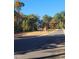 Street view of a residential street, showing ready to build homesites at 8717 Little Deer Ln, Raleigh, NC 27613