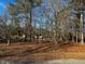 Spacious backyard surrounded by mature trees, offering privacy and a natural setting at 165 Wakeline Dr, Wendell, NC 27591