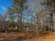 Large backyard with mature trees, providing a sense of seclusion and connection with nature at 165 Wakeline Dr, Wendell, NC 27591