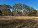View of the expansive fenced yard, lined with mature pine trees, offering privacy and a natural setting at 165 Wakeline Dr, Wendell, NC 27591