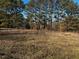 The expansive yard, surrounded by mature trees, offers plenty of outdoor space and is fully fenced in at 165 Wakeline Dr, Wendell, NC 27591