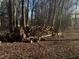 Ample supply of firewood neatly stacked in the wooded area of the yard for cozy winter nights at 165 Wakeline Dr, Wendell, NC 27591