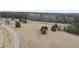 View of the large community park with trees and walking path at 210 W Oak Ave, Wake Forest, NC 27587