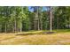 Expansive wooded backyard presenting a peaceful, private setting and a natural haven for relaxing and exploring the outdoors at 260 Ellington Rd, Graham, NC 27253
