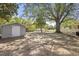 Large backyard with shed and mature shade tree at 732 Queens Ave, Dunn, NC 28334