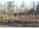 View of the secluded wooded area behind the property, showcasing the natural surroundings and privacy at 979 Natchez Trce, Fuquay Varina, NC 27526