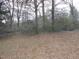 Large backyard with mature trees and leaves at 512 E Branch St, Spring Hope, NC 27882