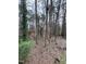 View of a lush, wooded area behind the property at 72 Beverly Dr, Durham, NC 27707