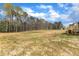 Expansive backyard featuring newly installed sod and treeline view from wooden deck under a sunny sky at 9342 Turkey Way, Middlesex, NC 27557