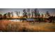 Community center and outdoor pavilion on a pond with fountain feature in a Primary planned community at 116 Bearwallow Forest Way, Wendell, NC 27591