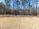 Backyard shows grass and forest at 121 Big Bradley Way, Wendell, NC 27591