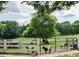 Quaint fenced pen with goats grazing, highlighting the unique charm and character of this property at 4201 Henderson Pl, Pittsboro, NC 27312