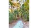 Scenic nature trail amidst trees, perfect for a leisurely stroll at 4201 Henderson Pl, Pittsboro, NC 27312