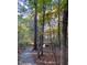 Peaceful nature trail winding through the woods, offering a serene escape at 4201 Henderson Pl, Pittsboro, NC 27312