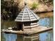Charming turtle sanctuary with a floating house on a tranquil pond surrounded by lush greenery at 4201 Henderson Pl, Pittsboro, NC 27312