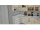 Organized walk-in pantry features ample shelving, custom cabinetry, and countertop space for small appliances at 3813 Peaceful Creek Trl, Zebulon, NC 27597