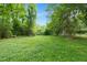 Wide, lush backyard with mature trees at 621 Shepard School Rd, Zebulon, NC 27597