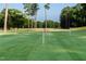 Expansive green putting green with flags and trees at 257 Rawhide Dr, Louisburg, NC 27549