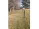 Large backyard with a wire fence and mature trees at 4053 Little Creek Church Rd, Clayton, NC 27520