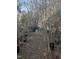 Overgrown backyard with various potted plants at 4053 Little Creek Church Rd, Clayton, NC 27520