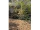 Side of the house showing overgrown bushes and chain link fence at 4053 Little Creek Church Rd, Clayton, NC 27520