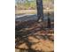 Pine straw covered ground with scattered pine cones at 4053 Little Creek Church Rd, Clayton, NC 27520