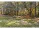 Wooded backyard with stone wall and grassy area at 6328 Bissette Rd, Wendell, NC 27591