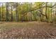 Spacious backyard with wooded area and leaf covered ground at 6328 Bissette Rd, Wendell, NC 27591