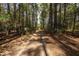 Long driveway leading through a lush wooded area at 6328 Bissette Rd, Wendell, NC 27591