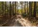 Driveway leading to a home nestled amongst the trees at 6328 Bissette Rd, Wendell, NC 27591