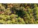 Aerial view of a clearing in a wooded area at 82 Byrd Ln, Pittsboro, NC 27312