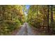 Gravel driveway leading into a wooded area at 82 Byrd Ln, Pittsboro, NC 27312