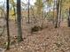 Wooded lot with leaf-covered ground at Lot 1H Poppy Mallow Ln, Oxford, NC 27565