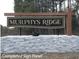 Community entrance sign for Murphys Ridge, featuring a wood and stone design at Lot 6H Liatris Ln, Oxford, NC 27565