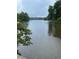 Scenic view of the lake on a rainy day surrounded by lush greenery and a calm, reflective surface at 1018 Lakeview Dr, Cedar Grove, NC 27231