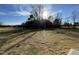 Large backyard with trees and grassy area at 158 Pate Landing Dr, Selma, NC 27576