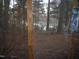 View from screened porch, overlooking a pond and trees at 626 Pine Ridge Pl Pl, Raleigh, NC 27609