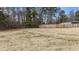Large backyard with a wooden fence at 7228 Pecan Tree St, Willow Springs, NC 27592
