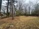 Large backyard with mature trees and open space at 905 Corona St, Durham, NC 27707