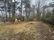 Large backyard with a shed and wooded area at 905 Corona St, Durham, NC 27707