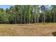 A spacious backyard with tall trees, perfect for outdoor activities and enjoying nature at 250 Ellington Rd, Graham, NC 27253