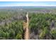 Expansive aerial view of property with a long driveway and surrounding forest at 2801 Mount View Church Rd, Moncure, NC 27559