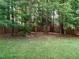 Wooded backyard with privacy fence, offering a peaceful setting at 401 Streamwood Dr, Holly Springs, NC 27540