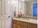 Bathroom featuring granite countertop, wooden cabinetry, and red flower accent at 125 Watertree Ln, Apex, NC 27502
