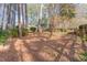 Wooded backyard with pine trees and ground cover at 2801 Chelsea Cir, Durham, NC 27707