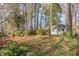 Partly sunny backyard with lush ground cover and trees at 2801 Chelsea Cir, Durham, NC 27707