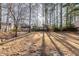Large backyard with mature trees, offering a serene outdoor setting at 3212 Potthast Ct, Raleigh, NC 27616